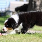 IMG_5009