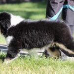 IMG_5107