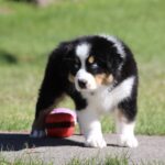 IMG_5168