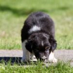 IMG_5646