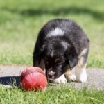 IMG_5663