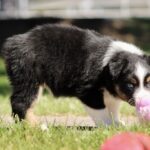 IMG_5716