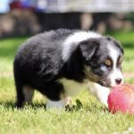 IMG_5721